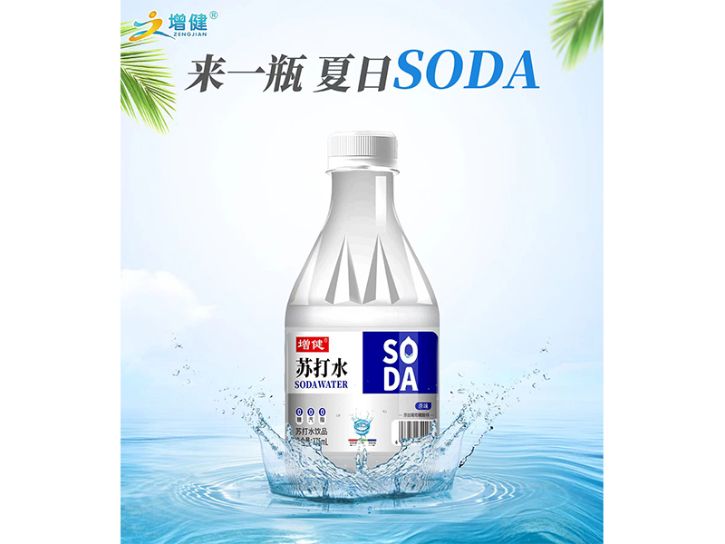 SODA蘇打水原味