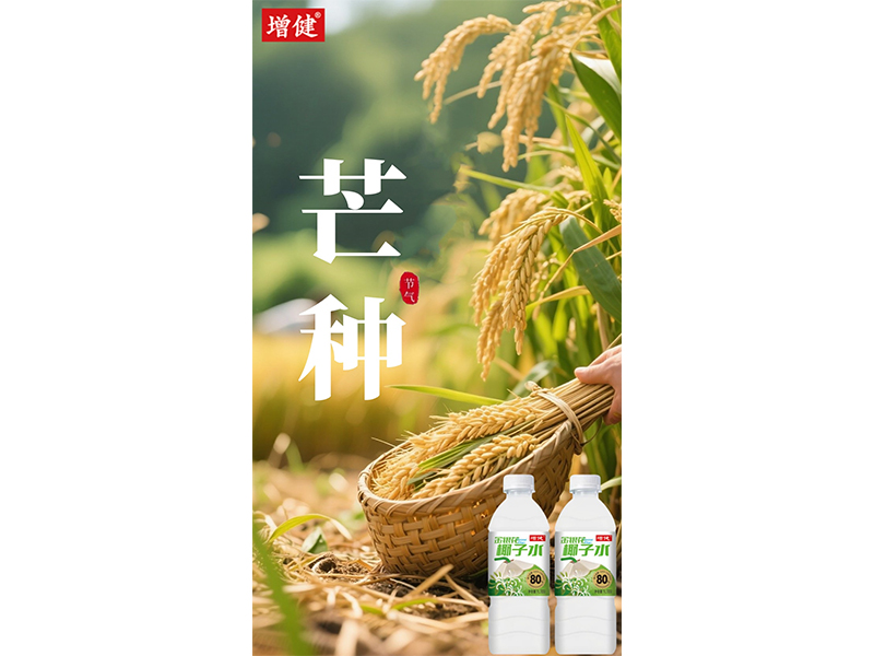 “芒”有所獲? “種”有所得